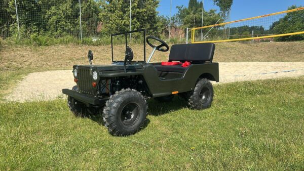 Styrian Tuk ® 2.0 Legales Zweispuriges Lastenfahrrad