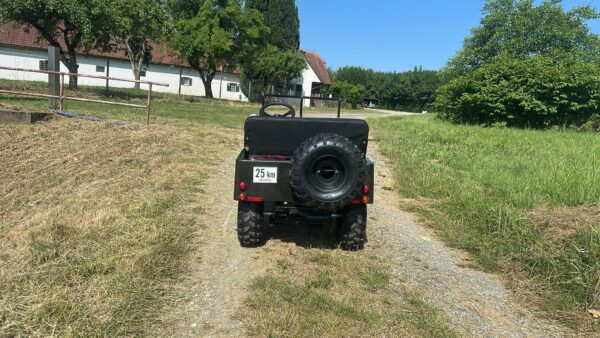 Styrian Tuk ® 2.0 Legales Zweispuriges Lastenfahrrad – Bild 3