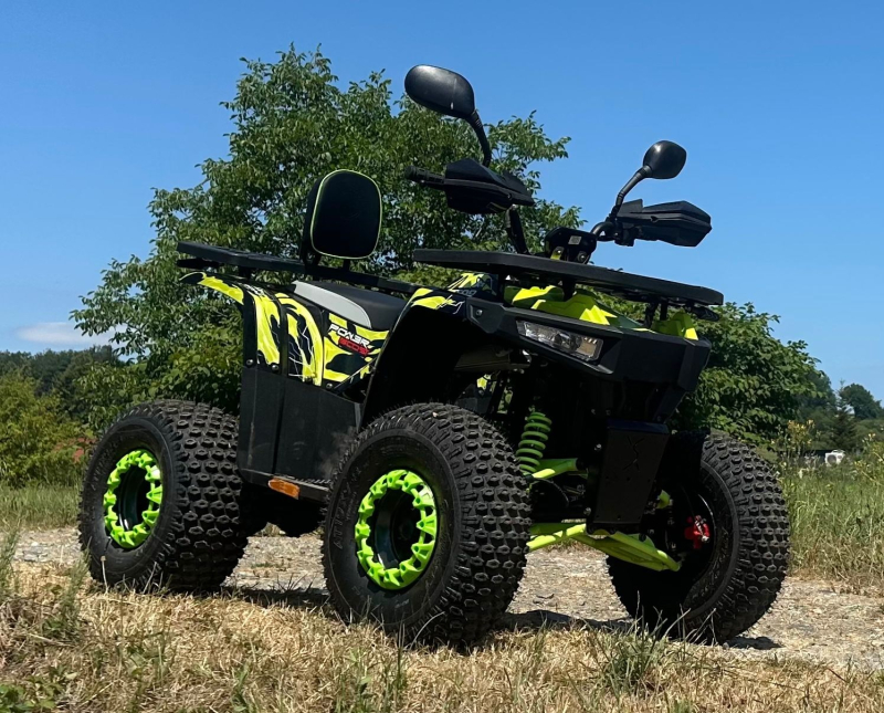 Goliath 3.0 Modell 26 Modernes Lastenfahrrad