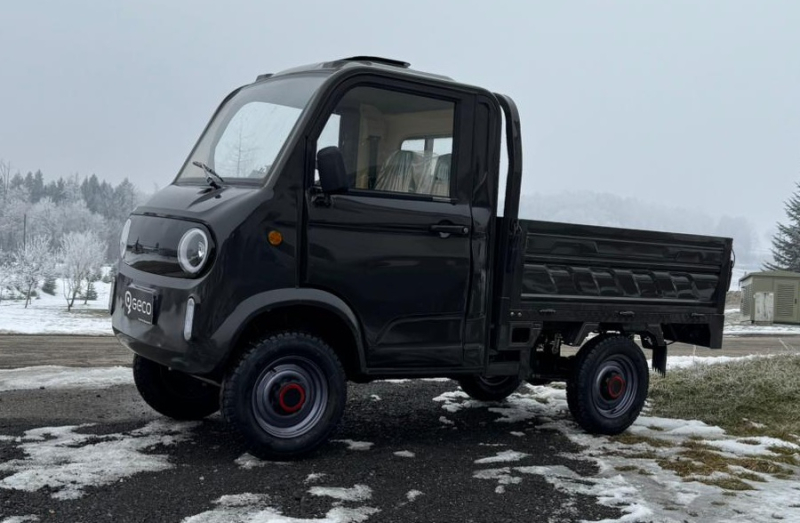 Geco Worker Slane Elektro Transporter – Bild 3